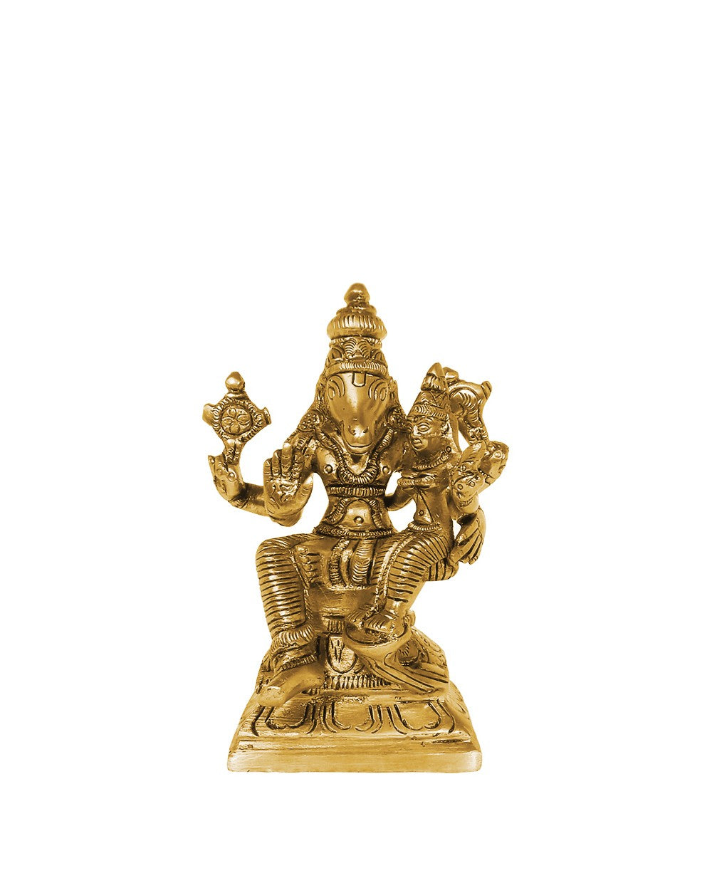 Brass Yellow  Gold   Varah Laxmi