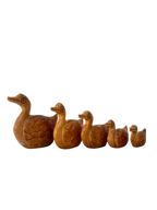 DUCK ANIMAL