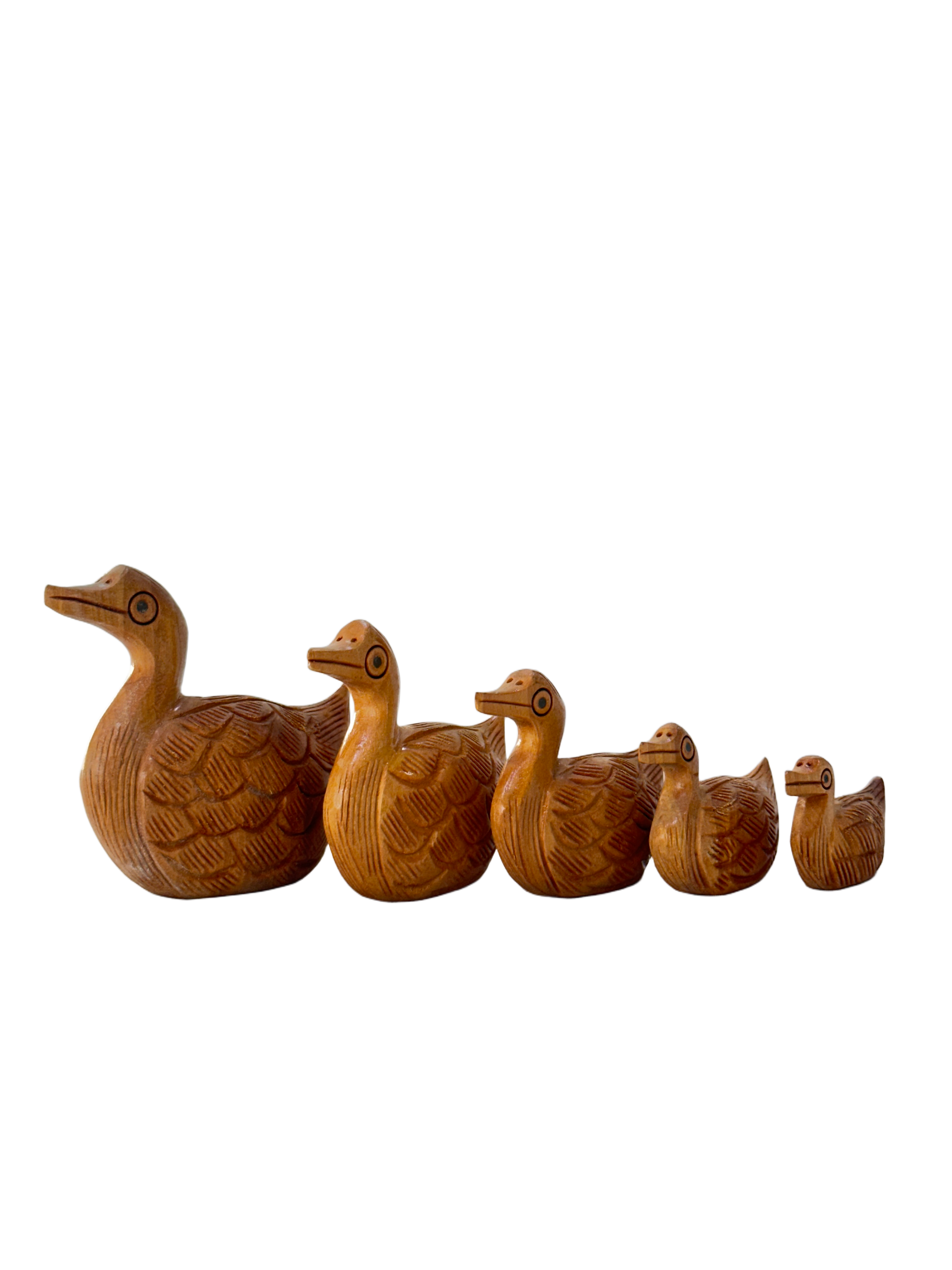 DUCK ANIMAL