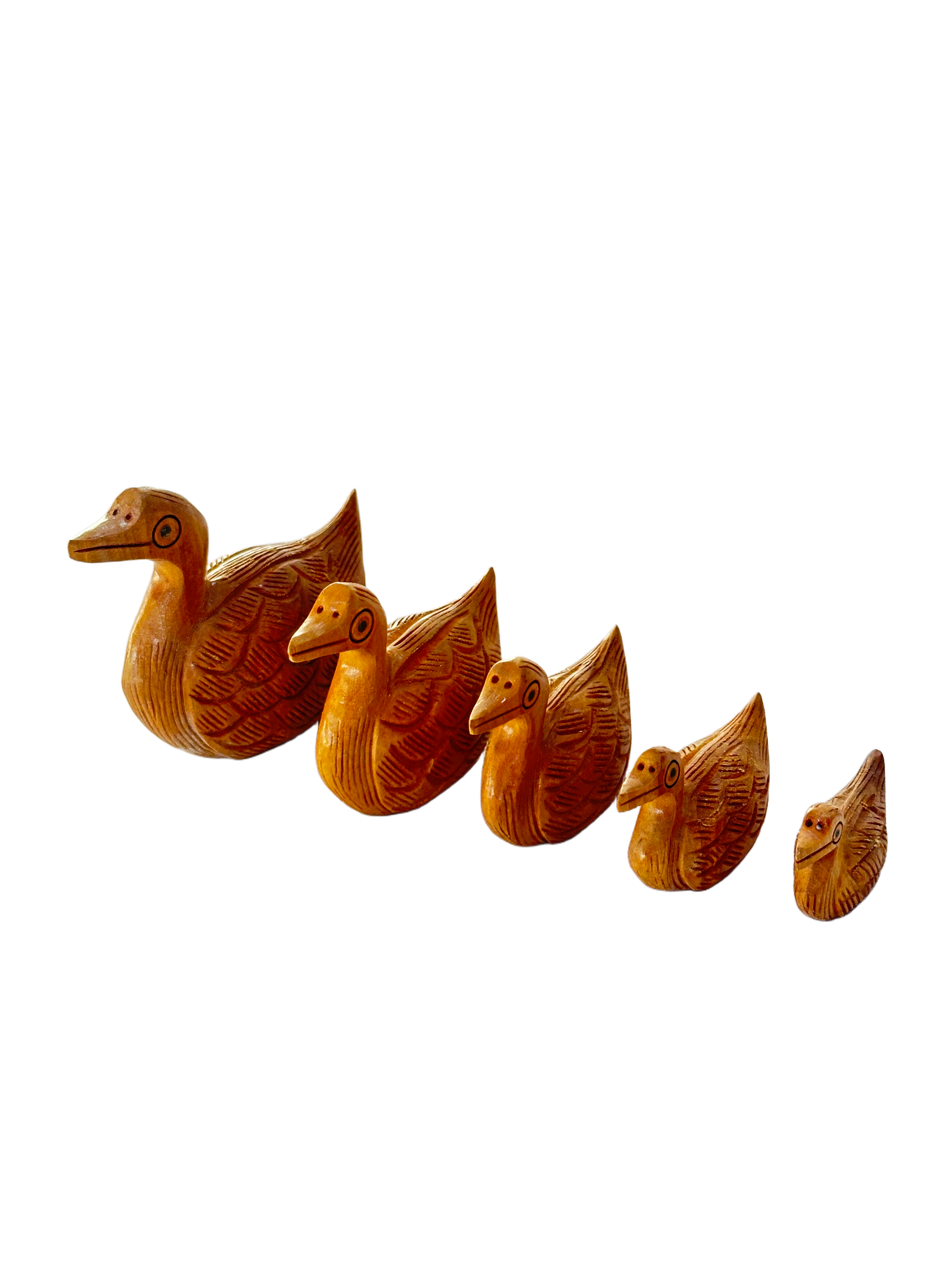 DUCK ANIMAL