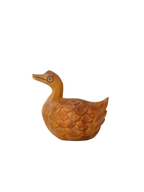 DUCK ANIMAL