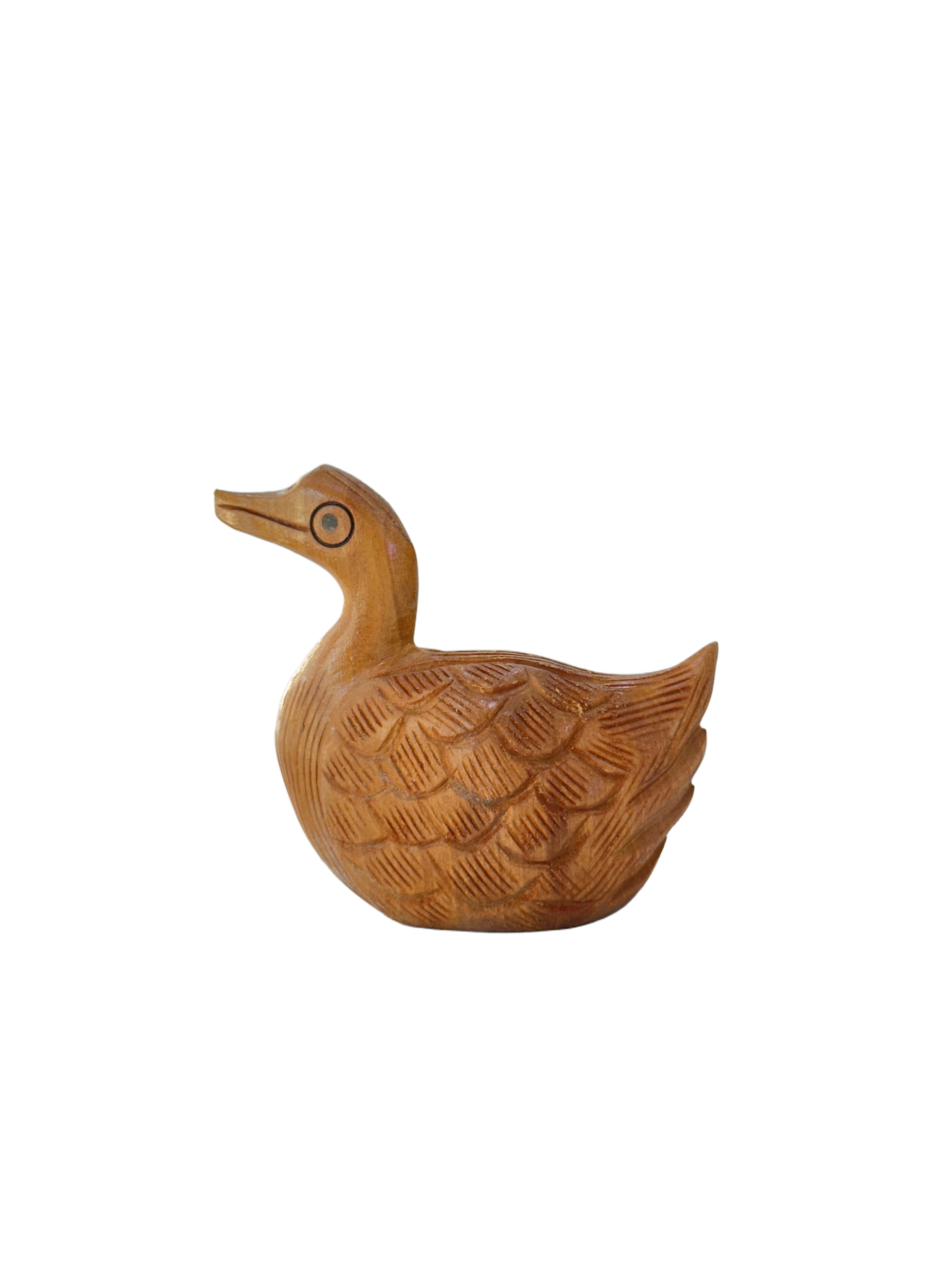DUCK ANIMAL