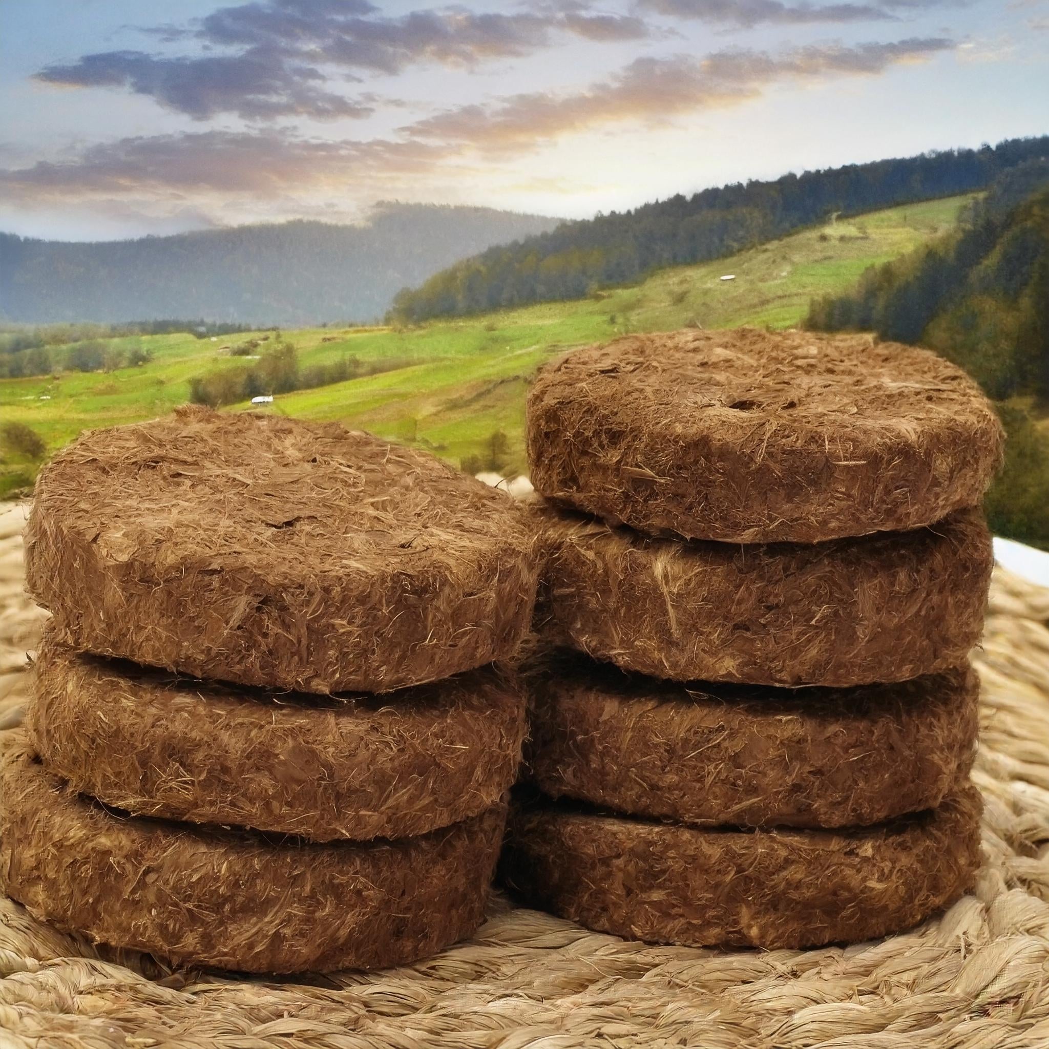 Cow Dung Cakes (Pack of 5)