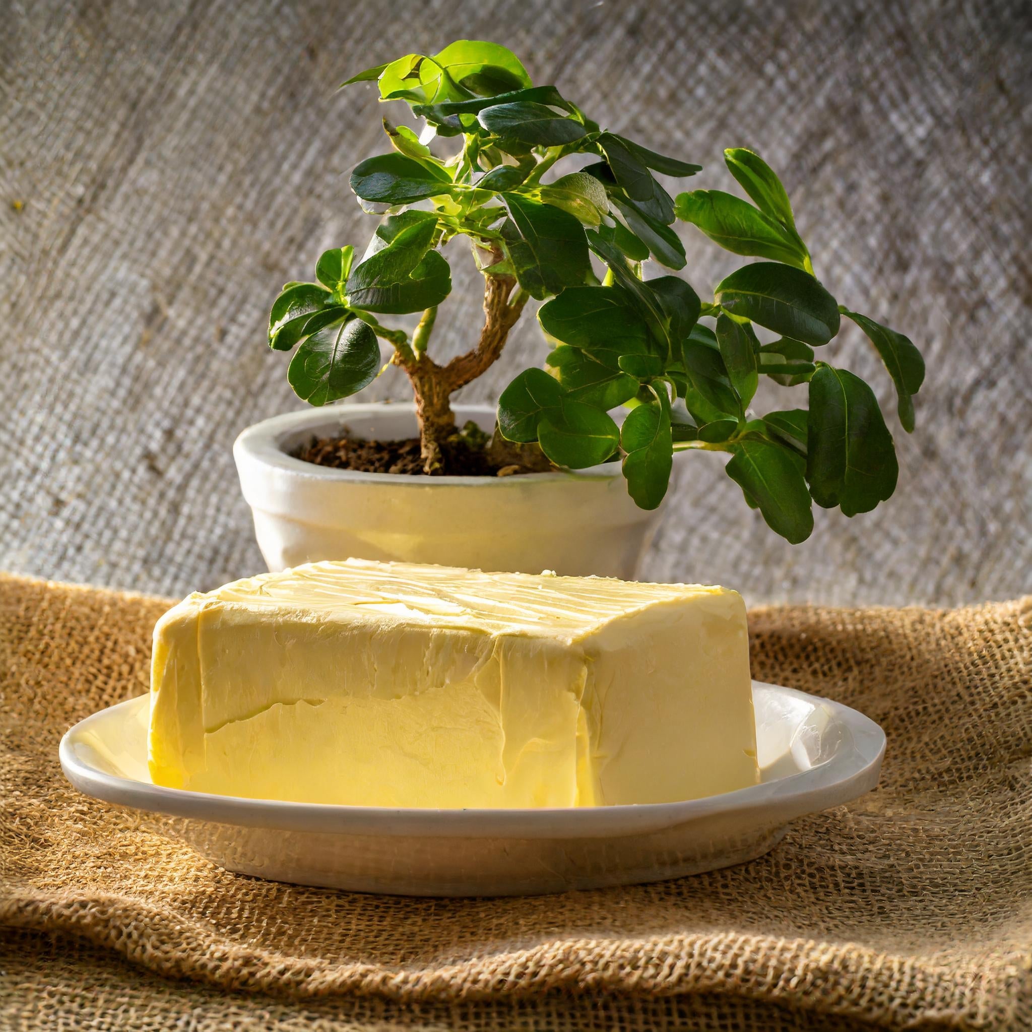 Handchurned Butter | Available only in Chennai Location
