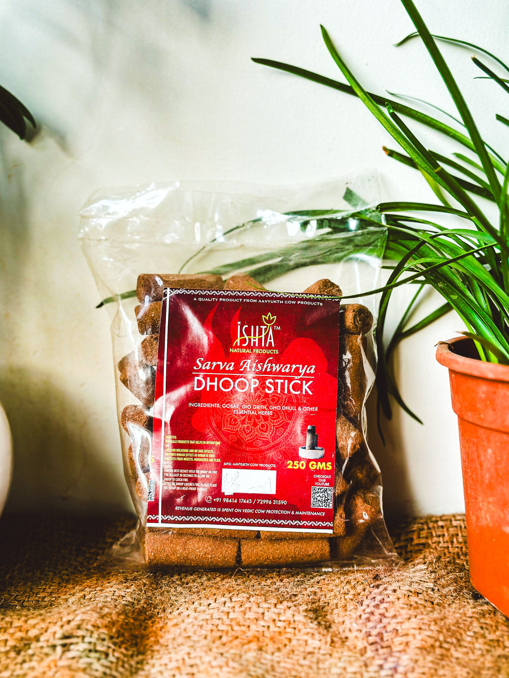 Dhoop Special