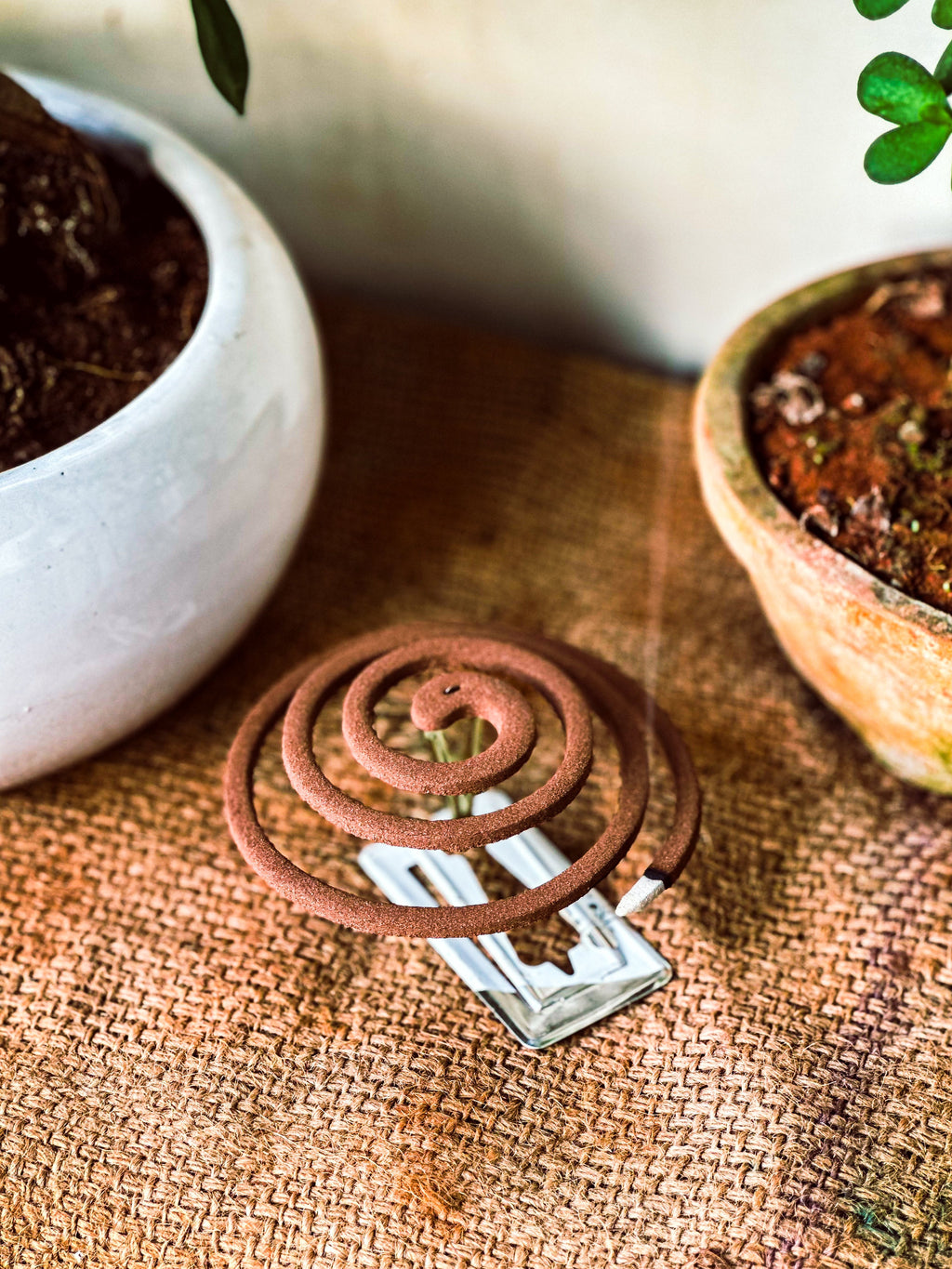 Mosquito Coil - 10pcs