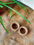 Panchagavya Vilaku - panchagavya diya