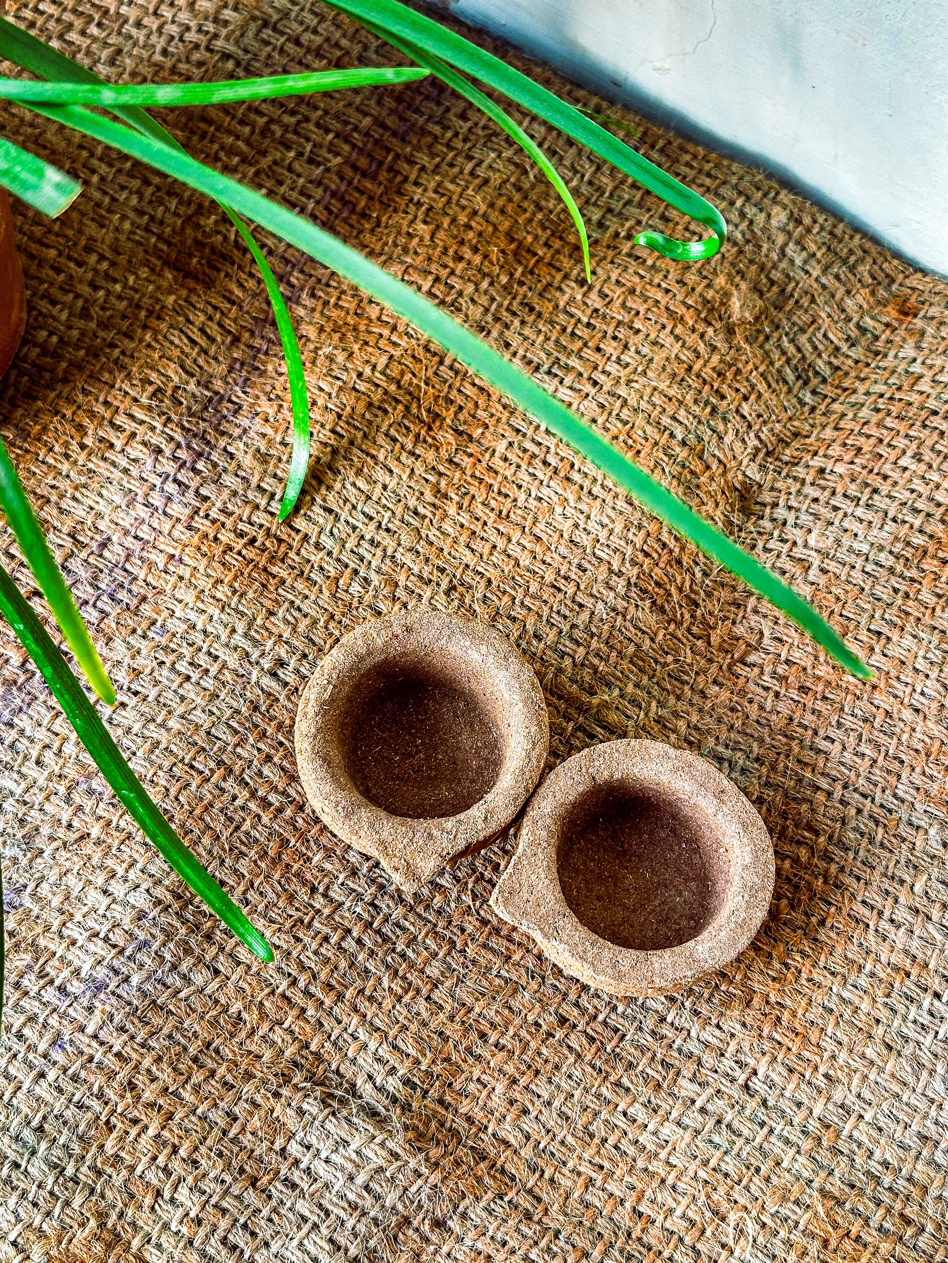 Panchagavya Vilaku - panchagavya diya