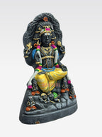 NAS DAKSHNAMOORTHI