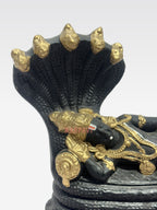 VCW RANGANADHAR BIG