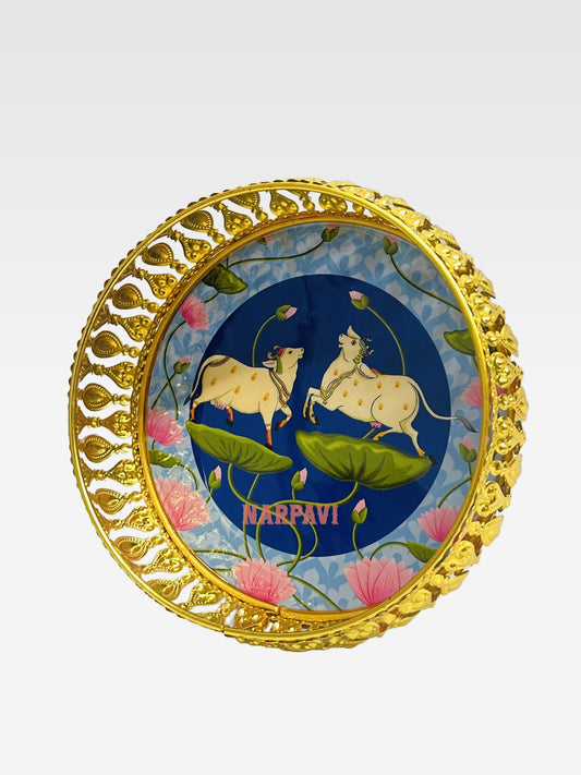 PC PLATE