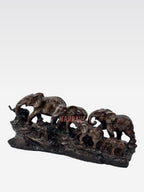 CR 7 ELEPHANT (CKPR1