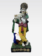 CR MURLI KRISHNA(CKP