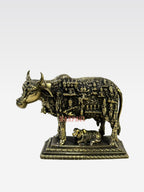 SHT Cow Face Kamadhe