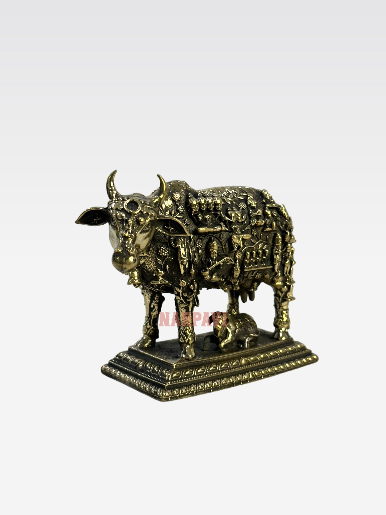 SHT Cow Face Kamadhe