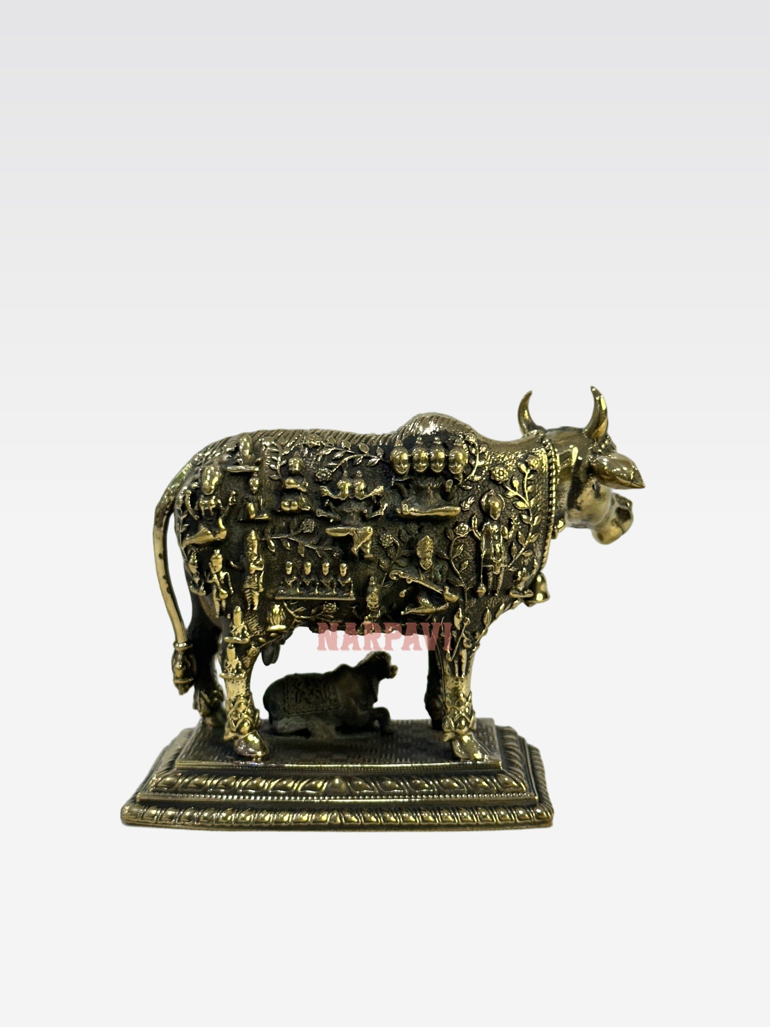SHT Cow Face Kamadhe