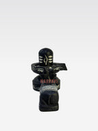 VE Lingam med