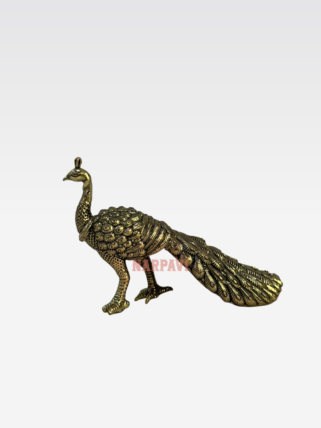 SHT Peacock D