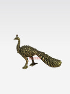 SHT Peacock D