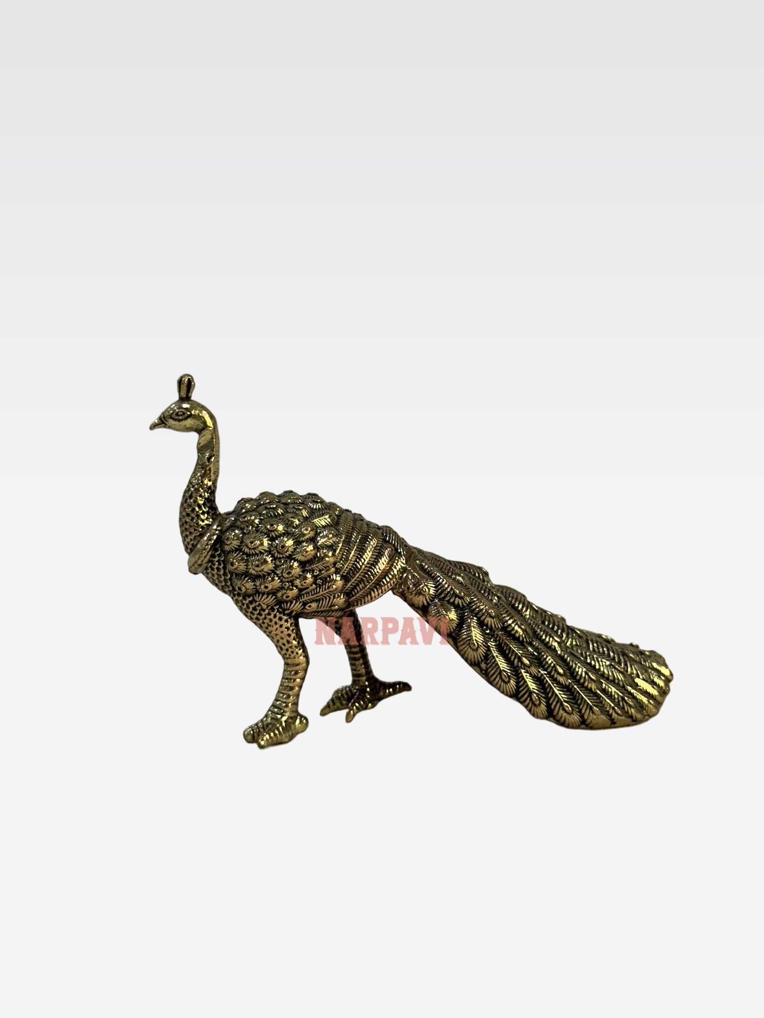 SHT Peacock D