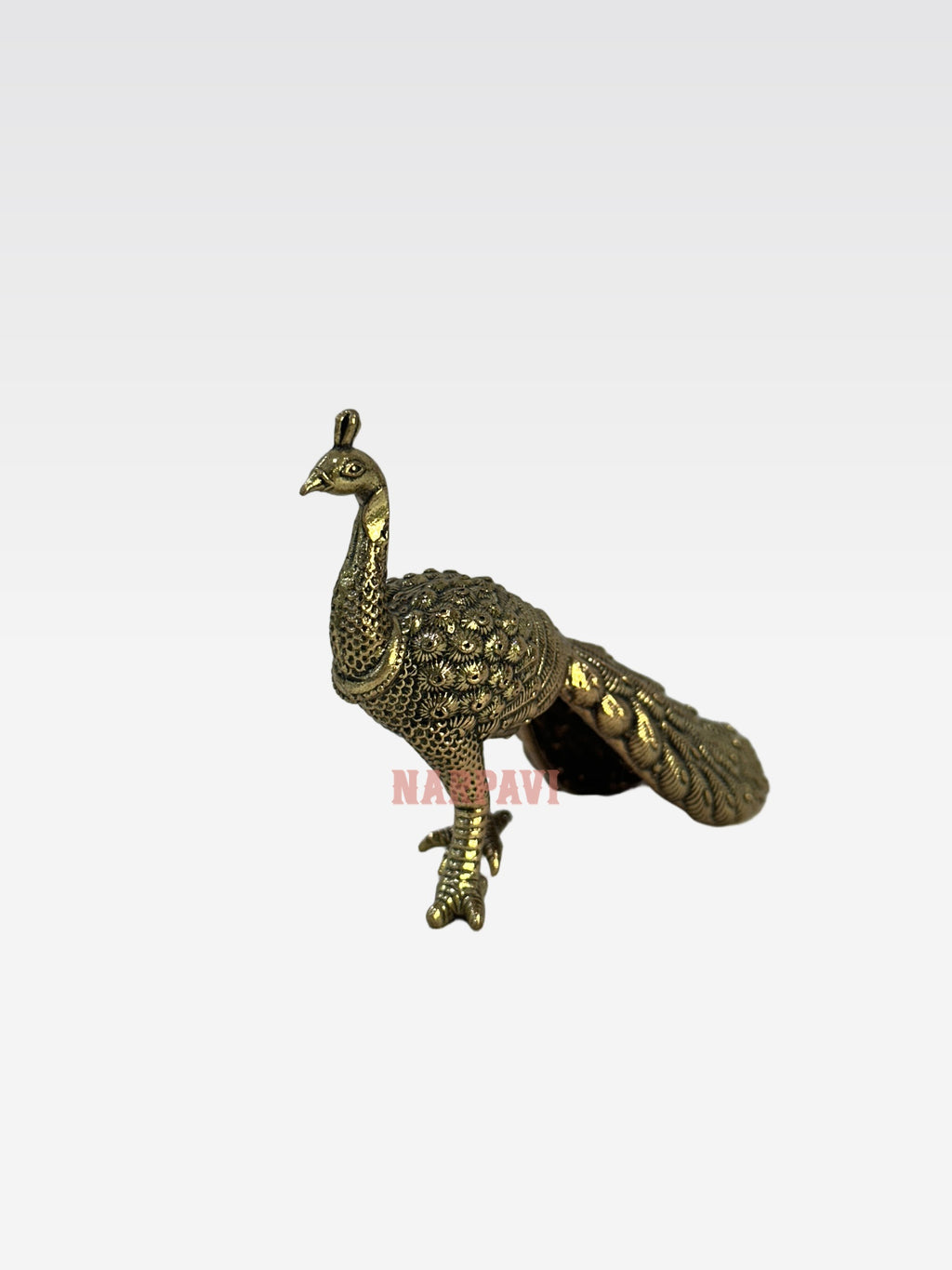 SHT Peacock D