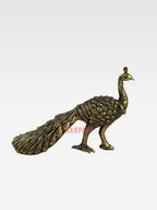 SHT Peacock D