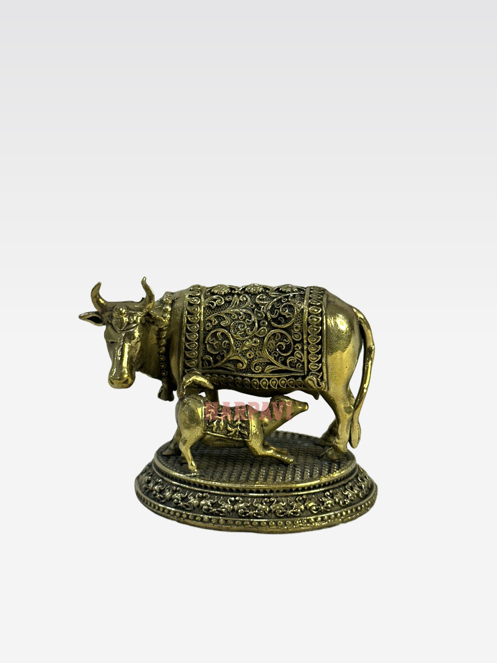 SHT COW 59 4