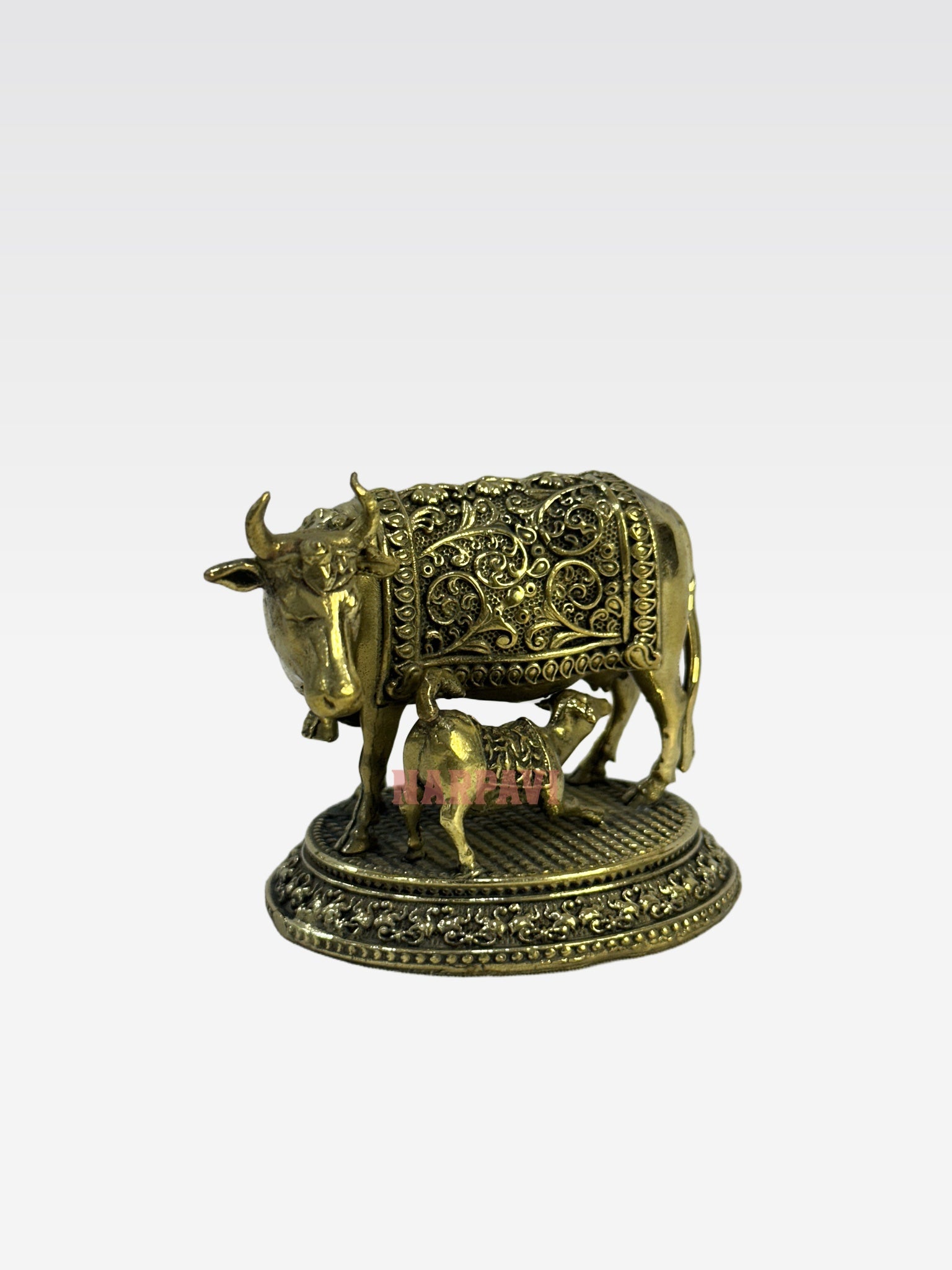 SHT COW 59 4