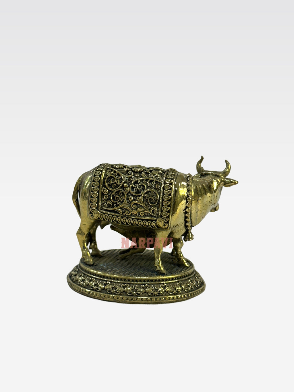 SHT COW 59 4