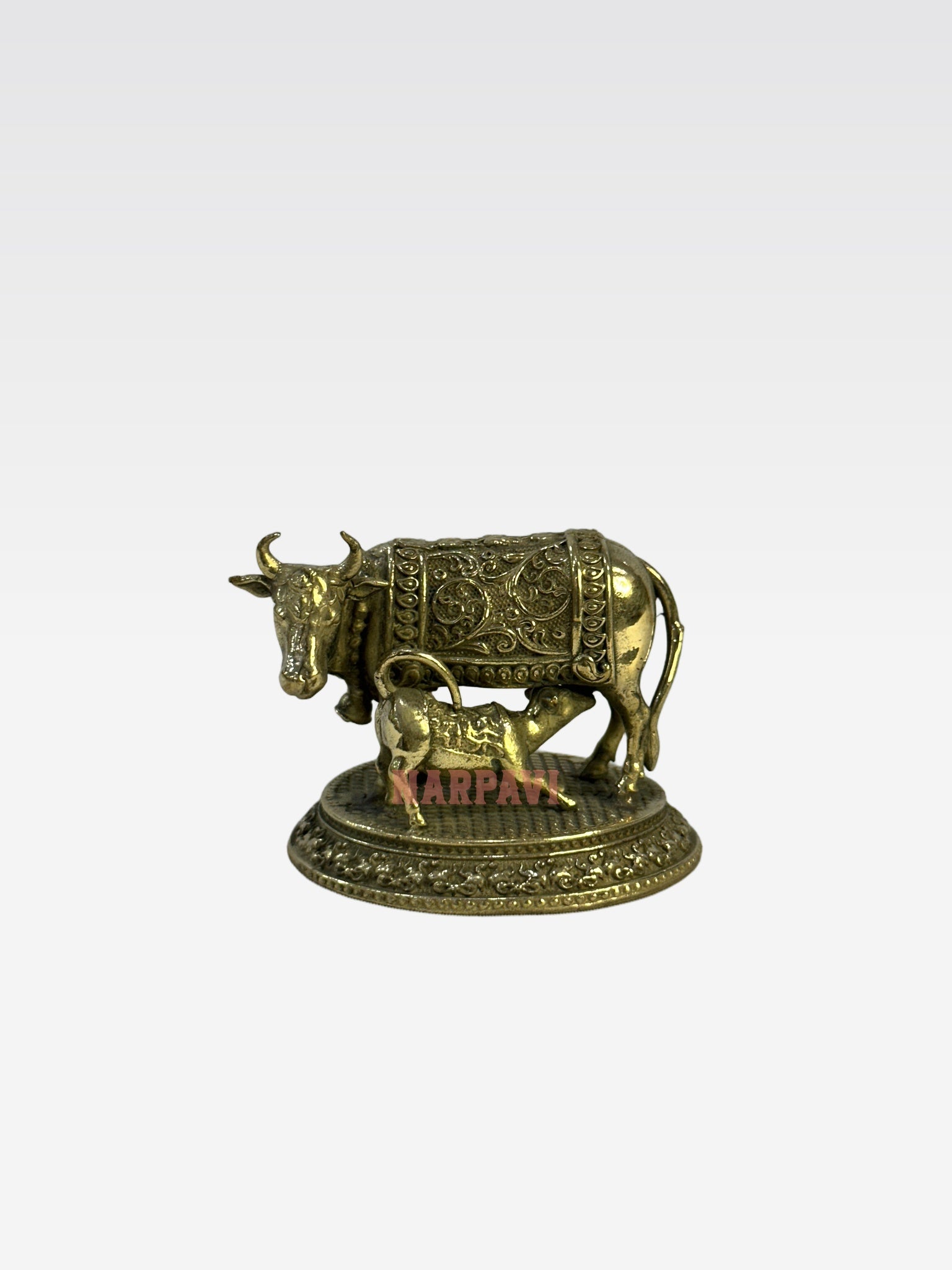 SHT COW 59 5