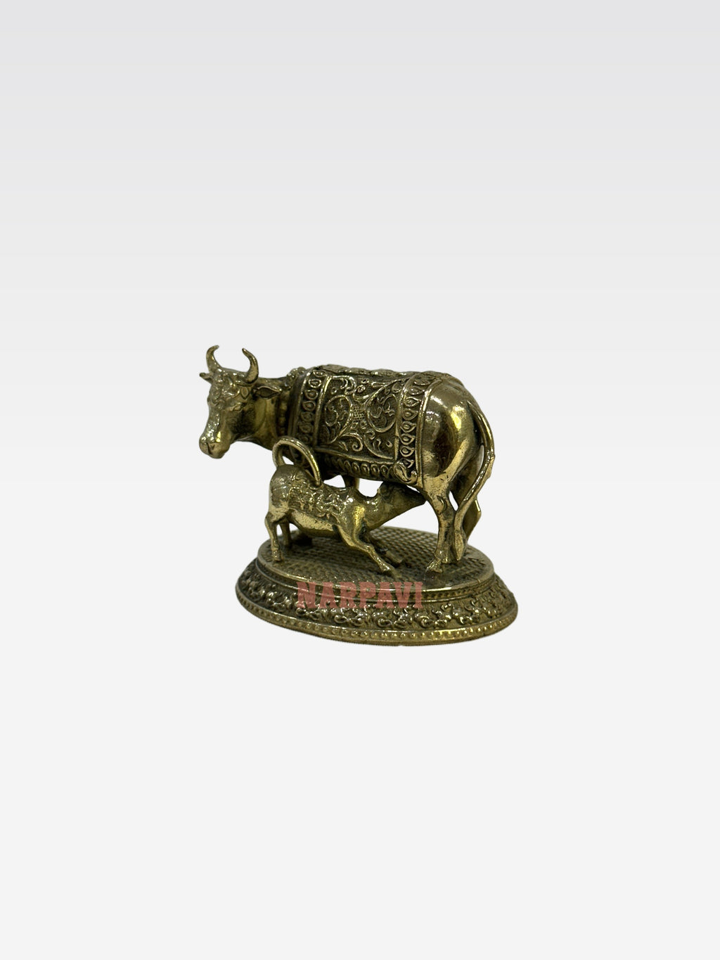 SHT COW 59 5