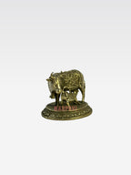SHT COW 59 5