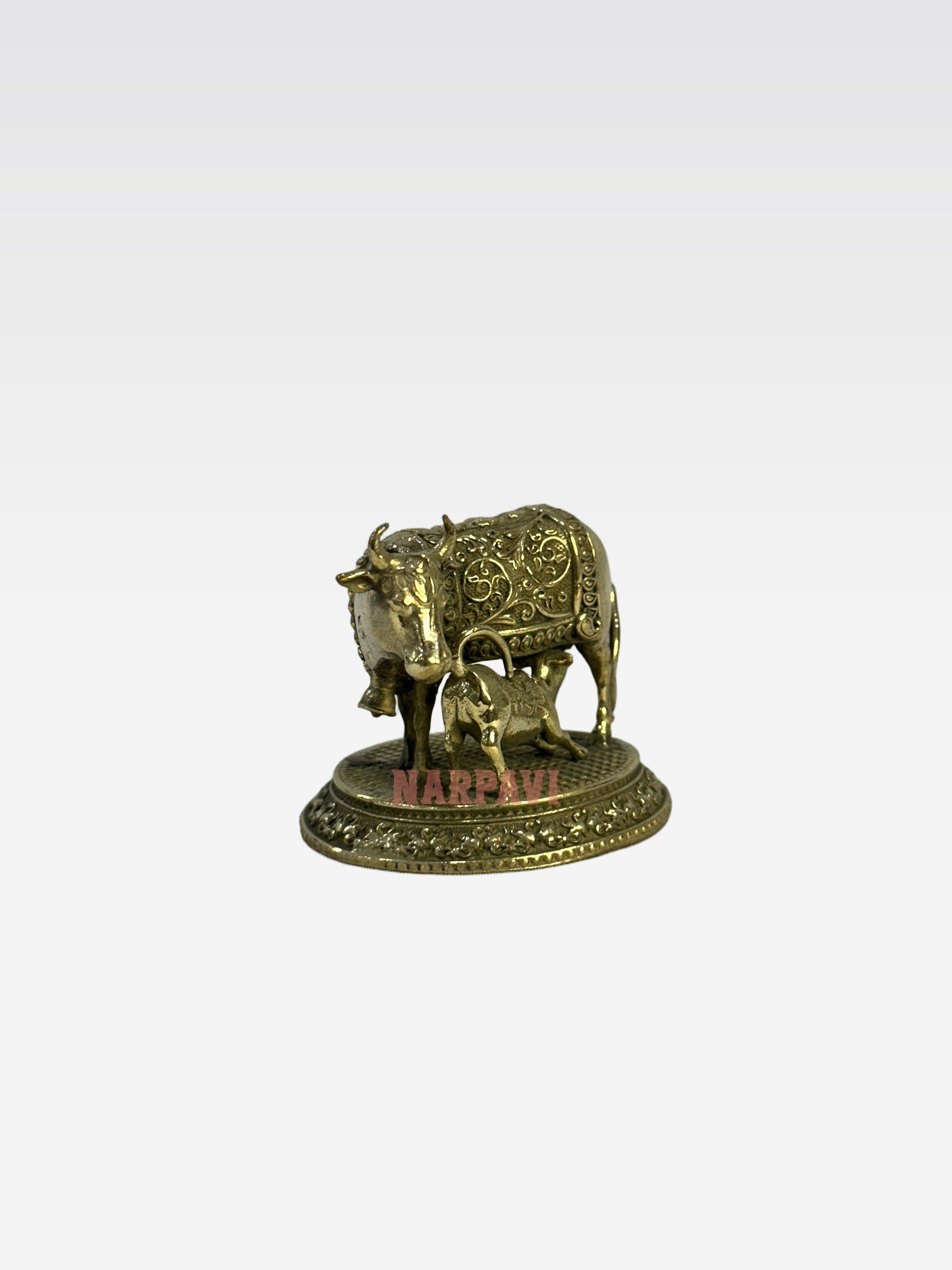 SHT COW 59 5