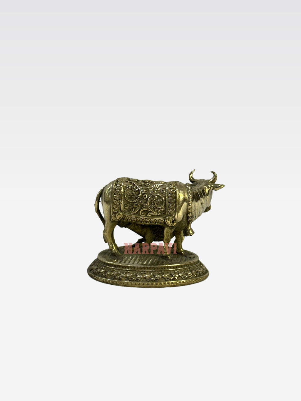 SHT COW 59 5