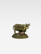 SHT COW 59 5