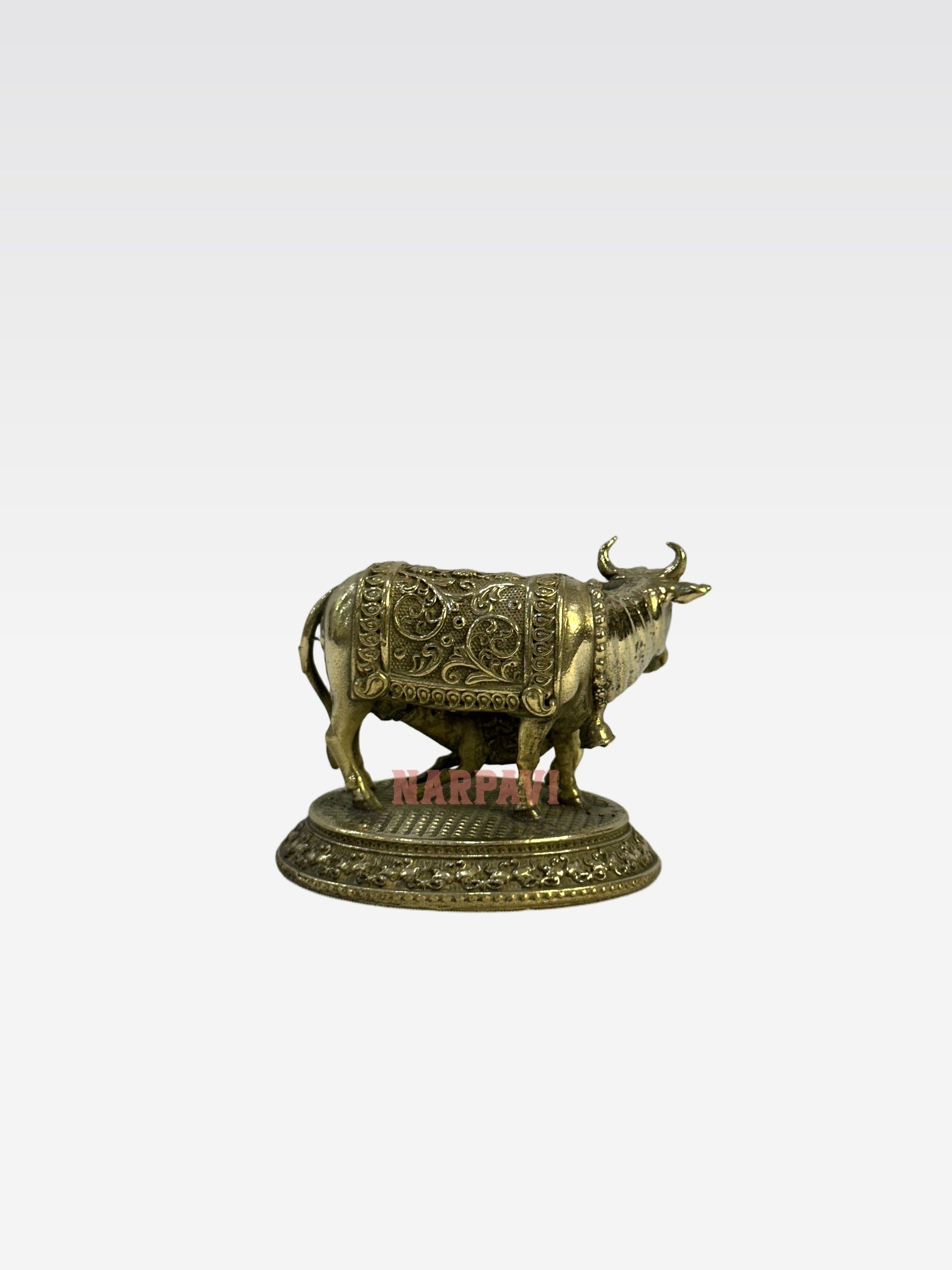 SHT COW 59 5