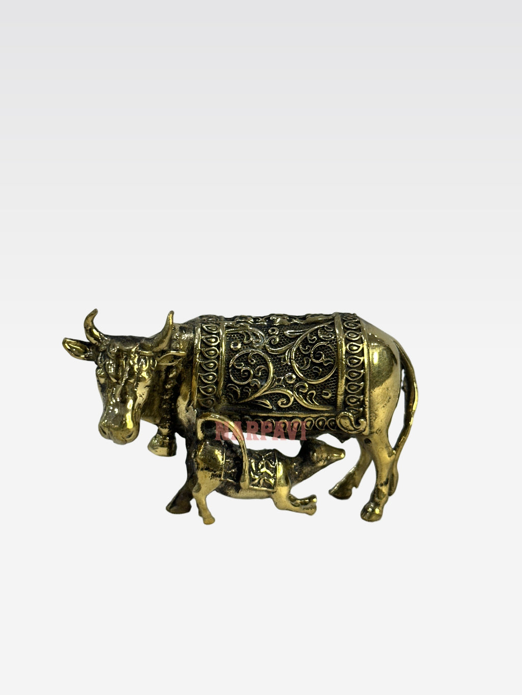 SHT COW 59 6