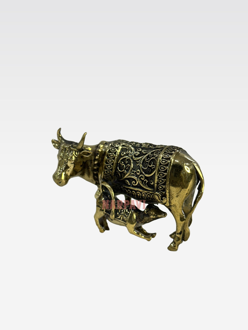 SHT COW 59 6