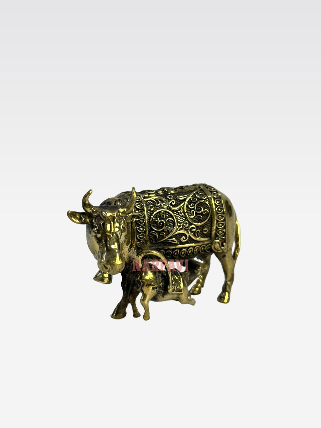 SHT COW 59 6