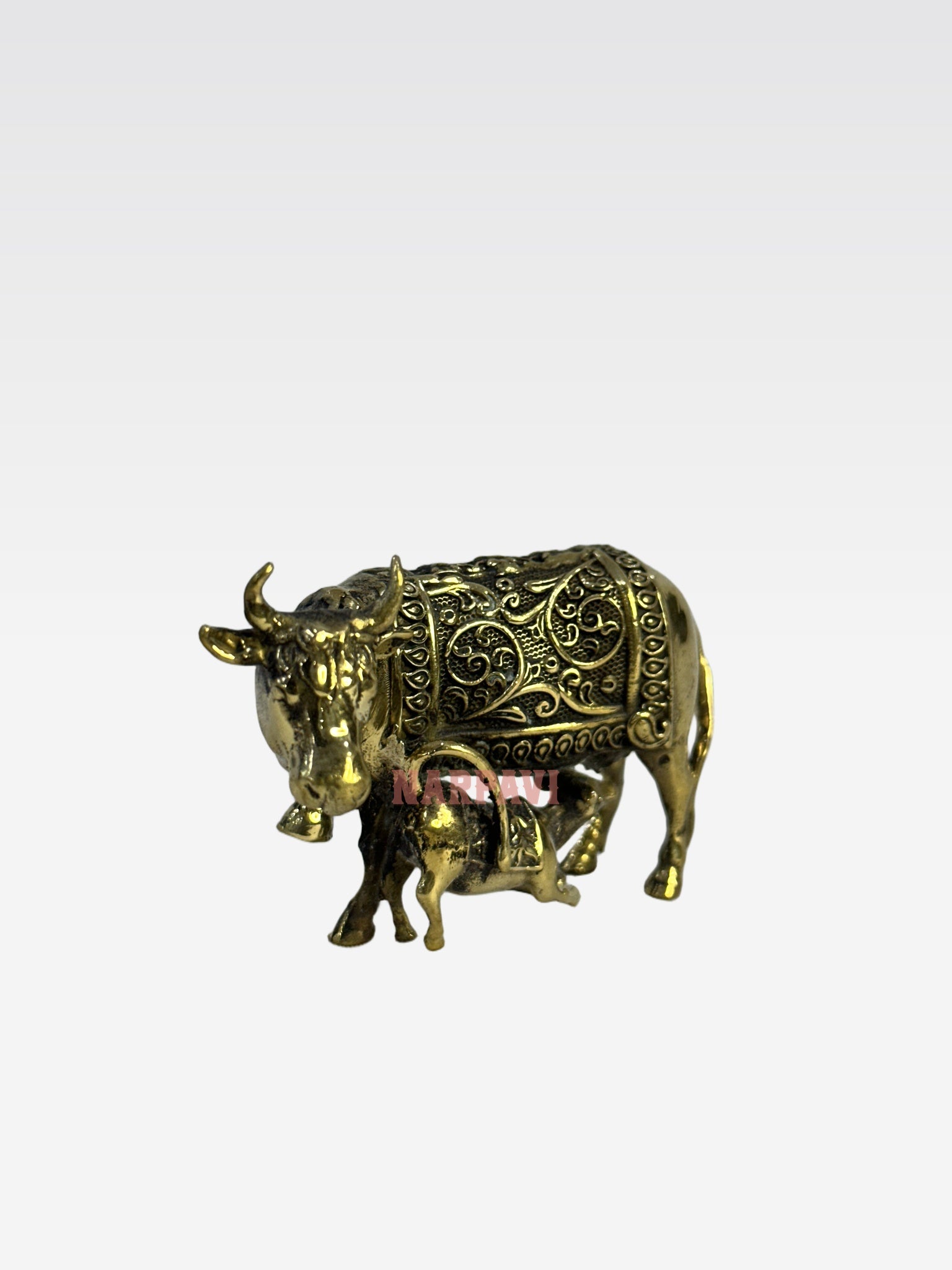 SHT COW 59 6