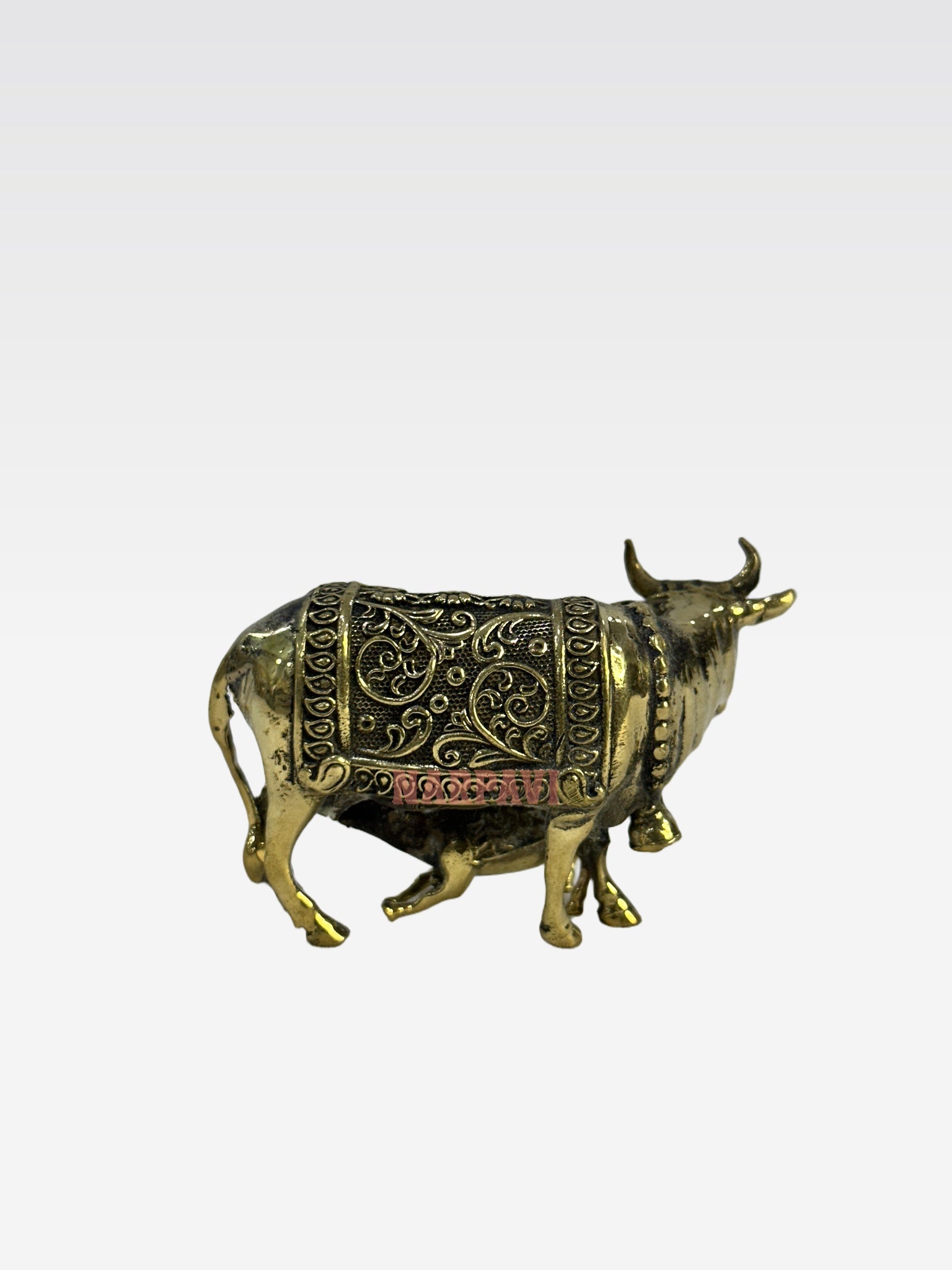 SHT COW 59 6