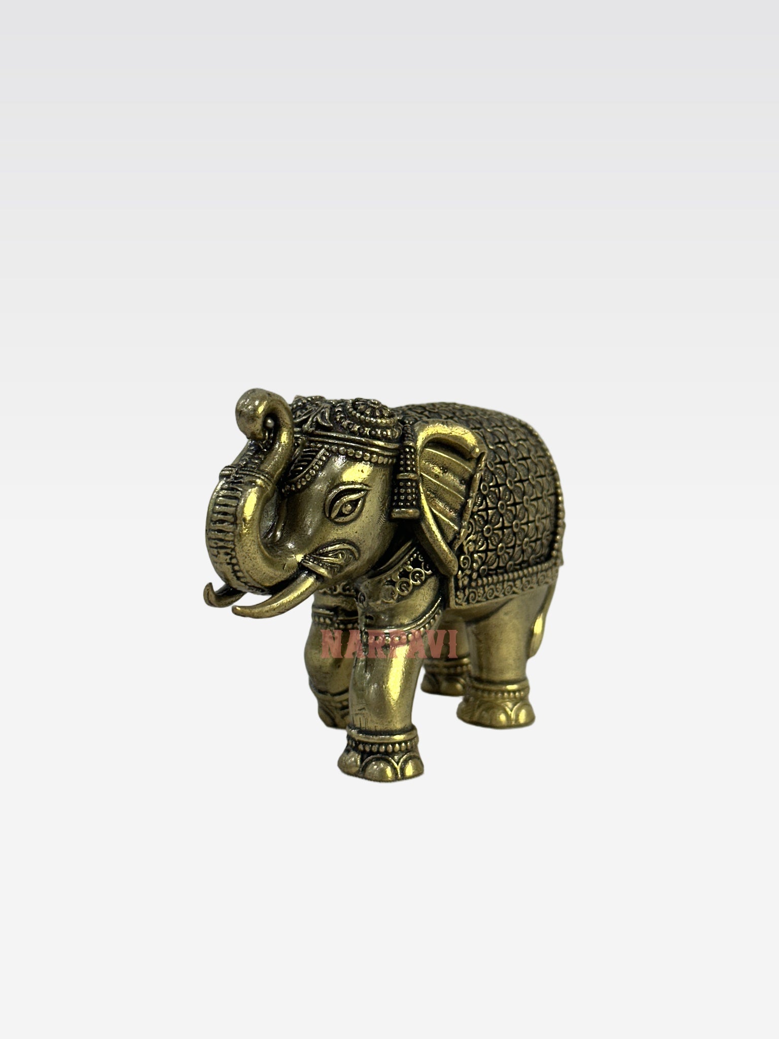 SHT ELEPHANT59 1