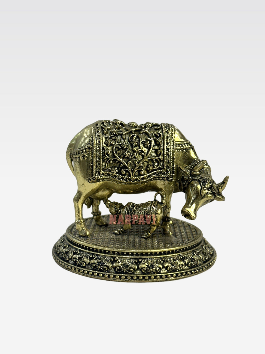 SHT COW59 3