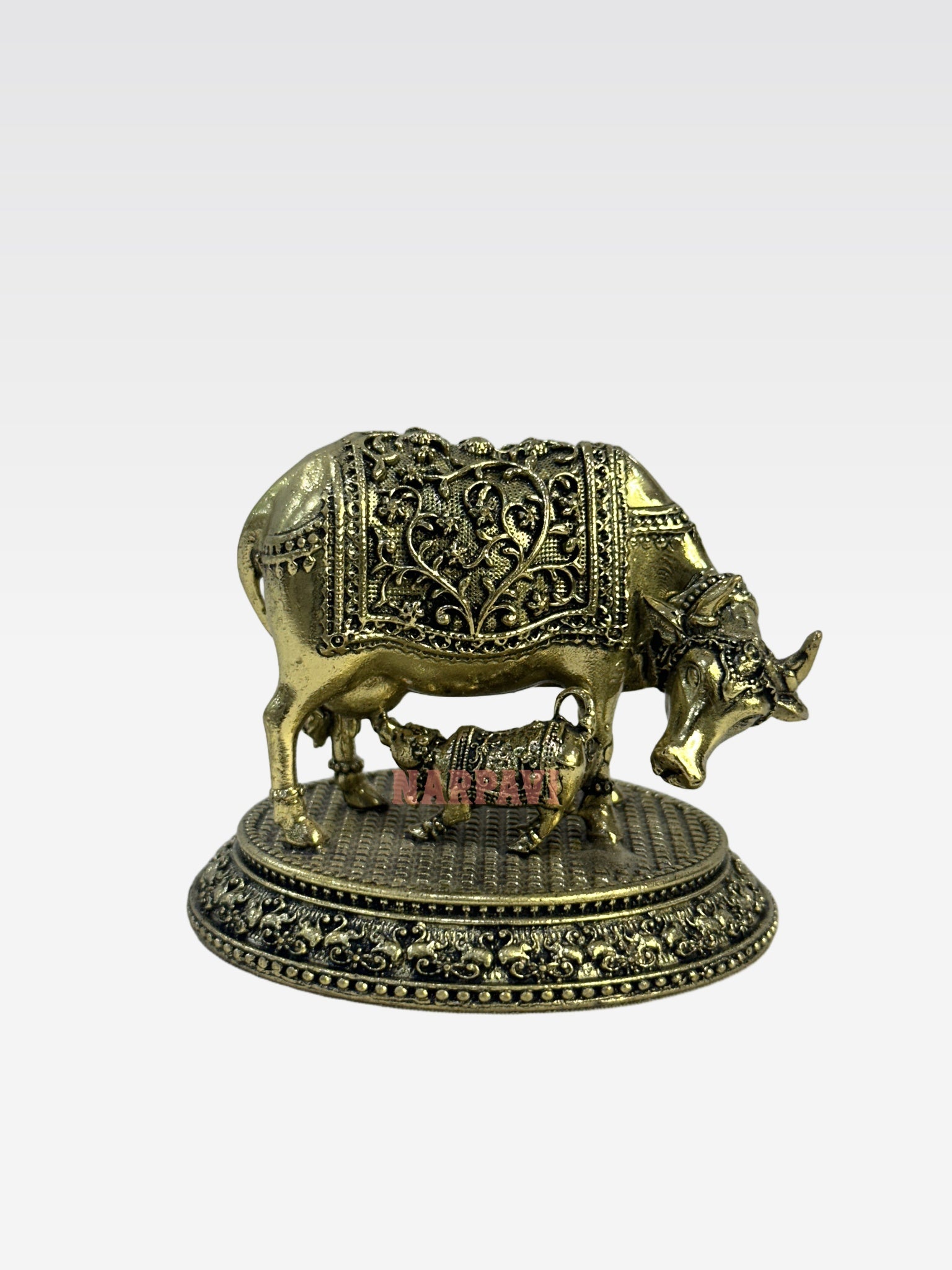 SHT COW59 3