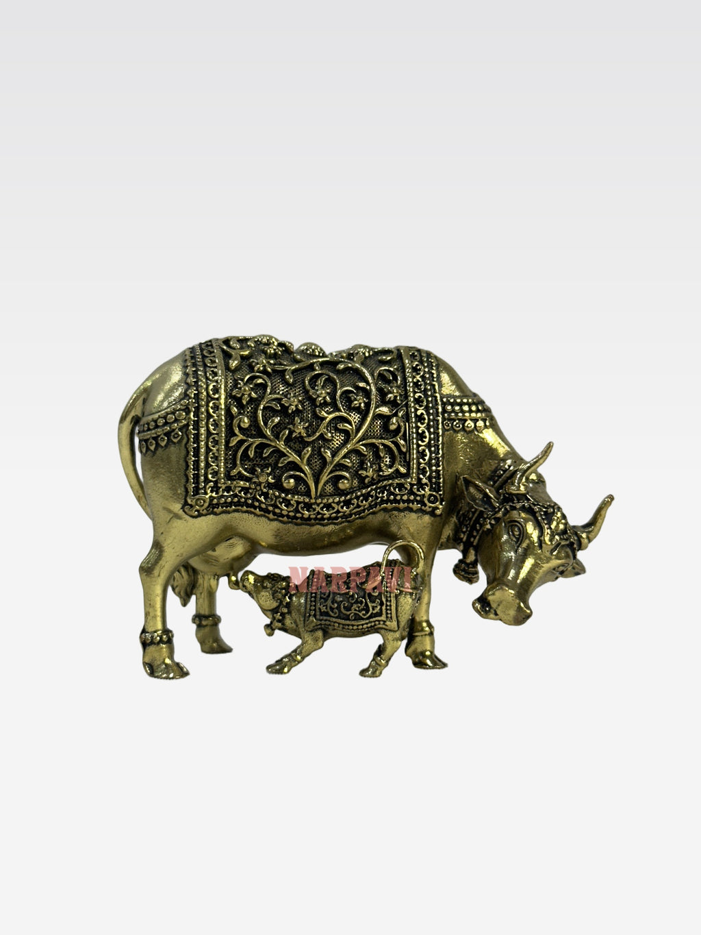 SHT COW59 5