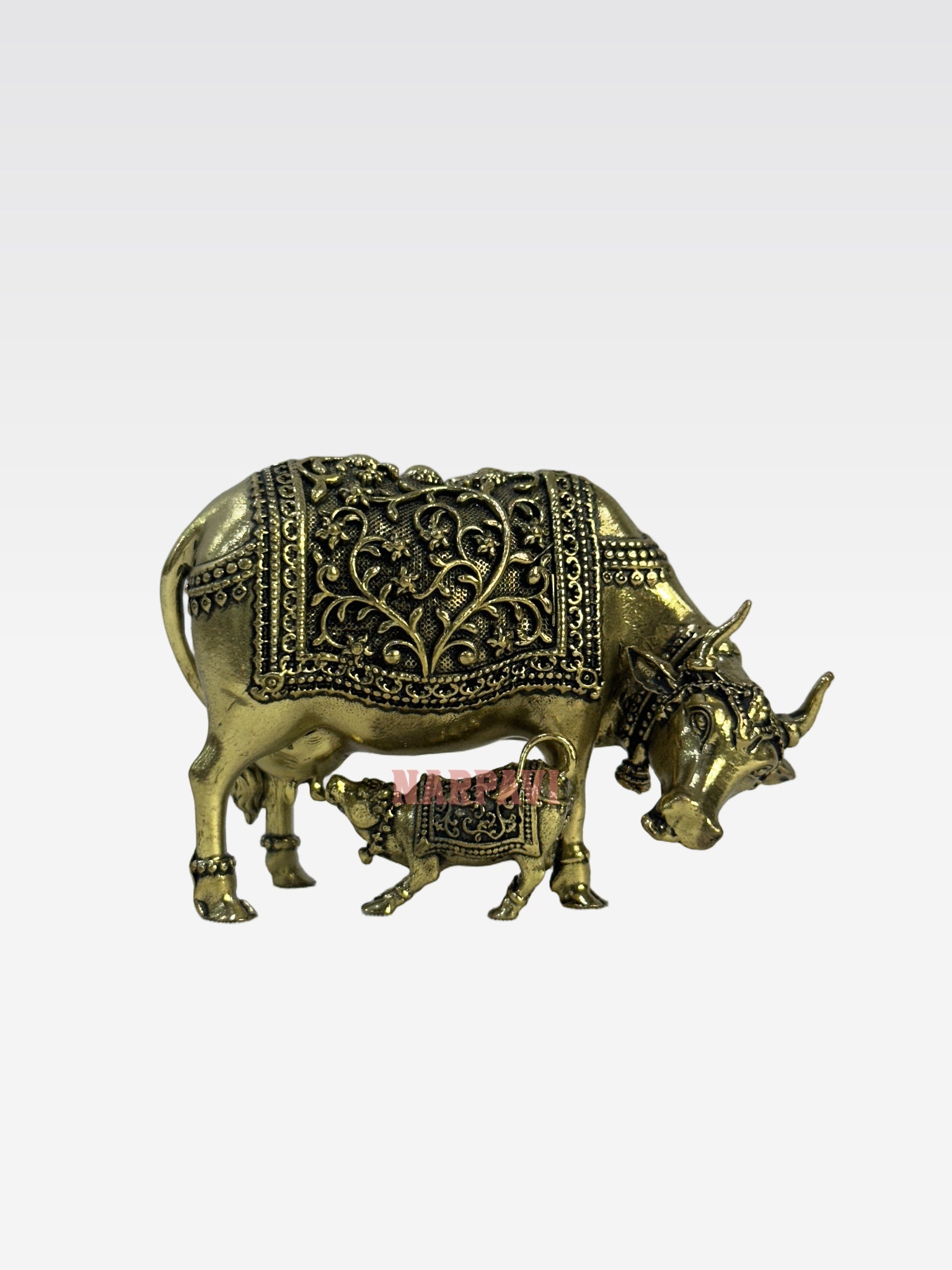 SHT COW59 5