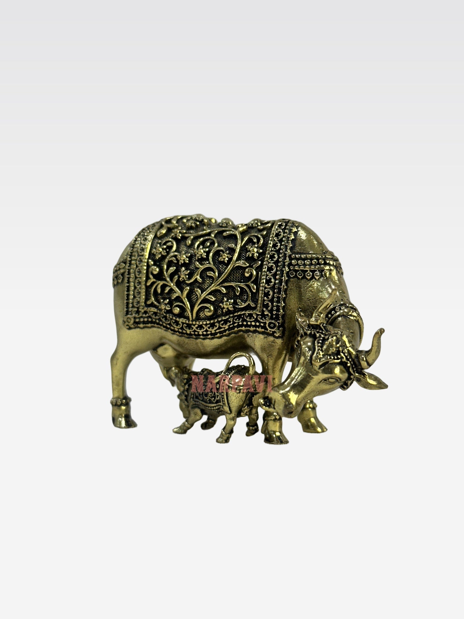 SHT COW59 5