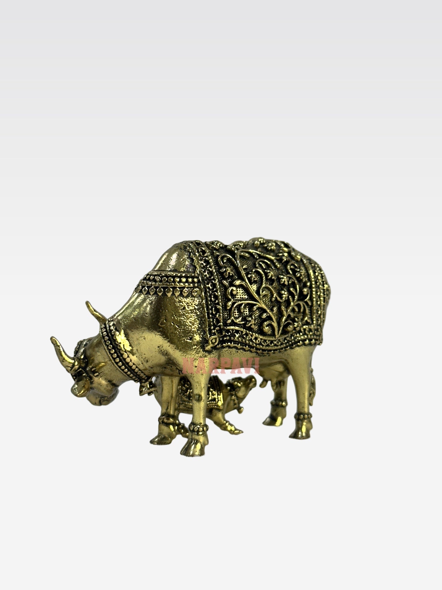 SHT COW59 5