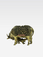 SHT COW59 5