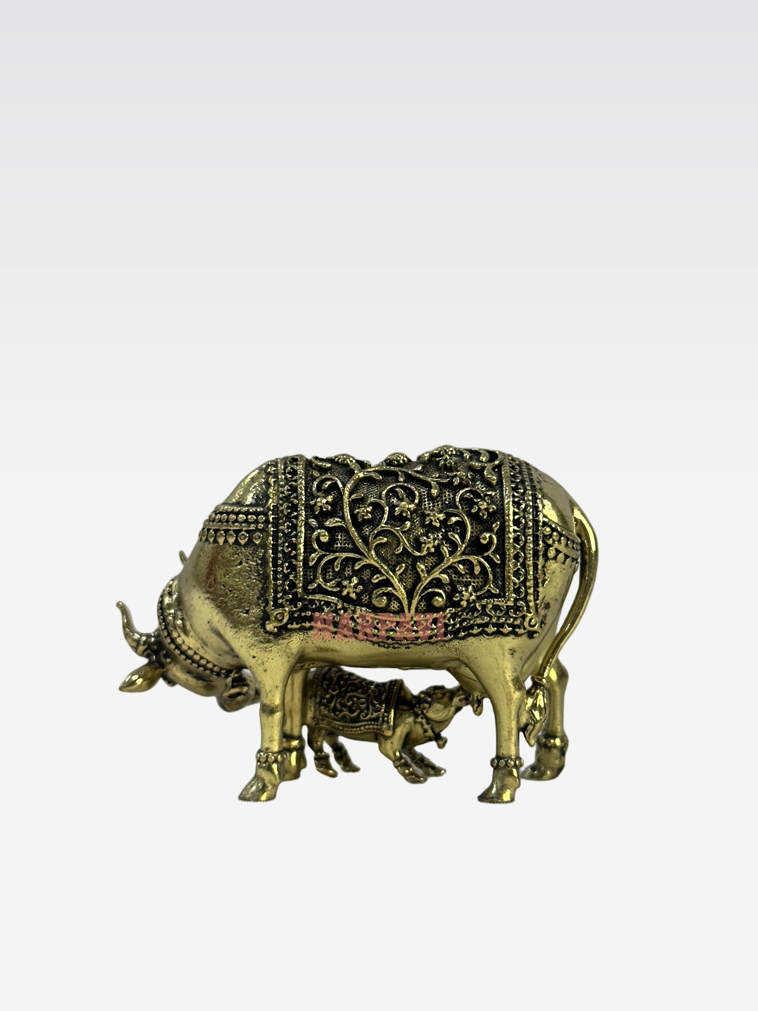 SHT COW59 5